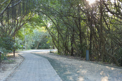 Road amidst trees in forest