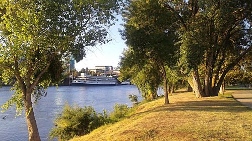 Scenic view of river amidst trees in city