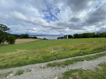 Scenic view of field against sky