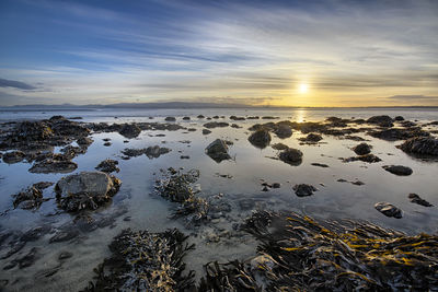 Scenic view of sea at sunset