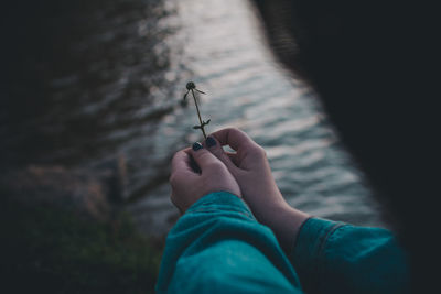 Cropped hands of woman holding flower over lake