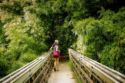 Rear view of young woman walking on footbridge amidst trees