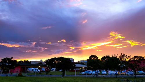 Scenic view of trees against sky during sunset