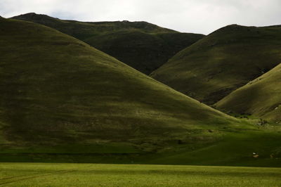 Scenic view of green landscape against sky