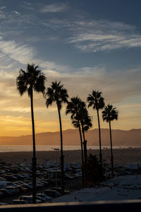 Silhouette palm trees on beach against sky during sunset