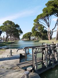 View of trees on beach
