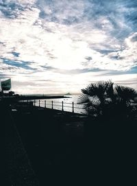 Silhouette of palm trees on beach