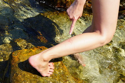 High angle view of hand on rock