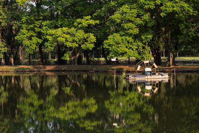 Scenic view of lake in forest