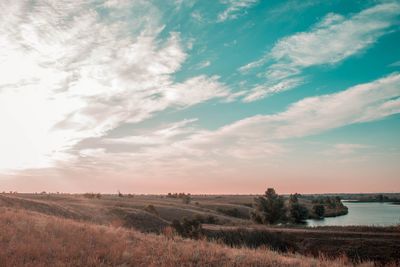 Scenic view of field against sky