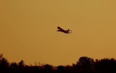 Silhouette bird flying in sky during sunset