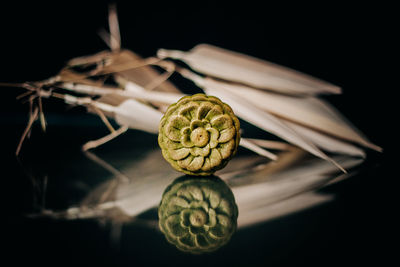 Close-up of fruits against black background