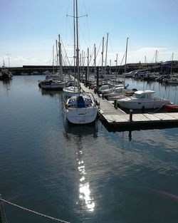 Sailboats moored on harbor against clear sky