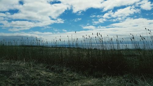 Scenic view of field against cloudy sky