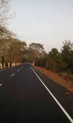 Empty road along trees