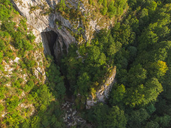 High angle view of rocks amidst trees