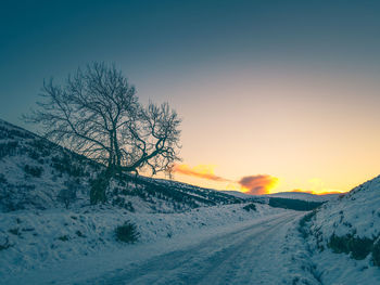 Bare tree on snow covered field against sky at sunset