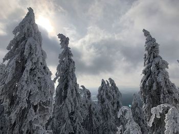 Low angle view of snowcapped mountain against sky