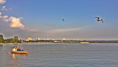 Bird flying over river