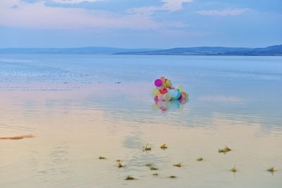 Multi colored balloons in sea against sky