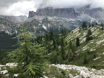 Scenic view of snowcapped mountains