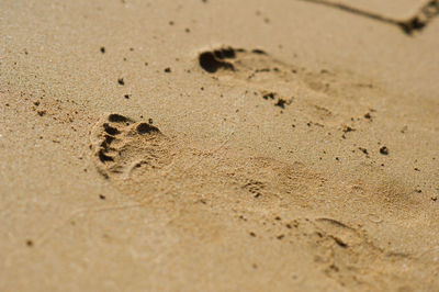 High angle view of footprints on sand