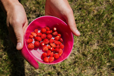 Cropped hands of woman holding red fruits