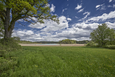 Scenic view of field against sky