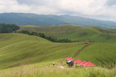 Scenic view of agricultural field against sky