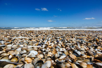 Pebbles on beach against sky
