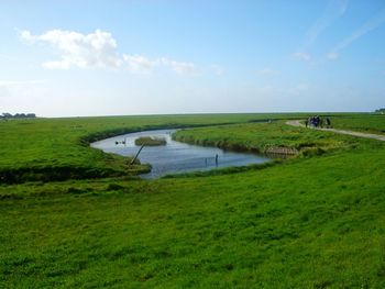 Scenic view of grassy field against cloudy sky