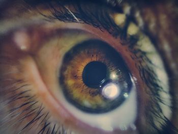 Extreme close up of human eye