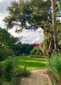 Road amidst trees against sky