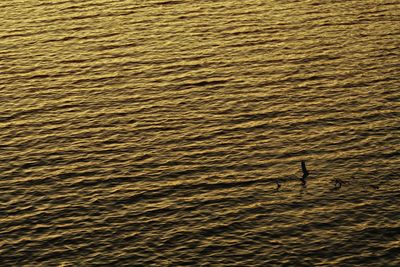 Full frame shot of rippled water