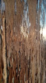 Close-up of water surface