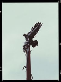 Low angle view of bird perching on tree