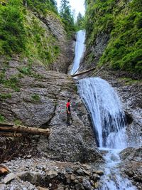 Scenic view of waterfall in forest