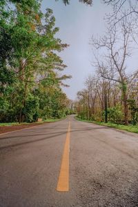 Empty road by trees against sky