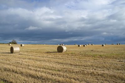 Hay bales on field against sky