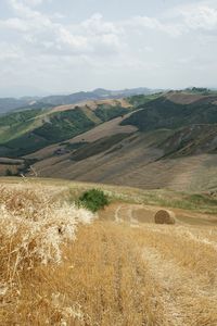 Scenic view of agricultural field against sky