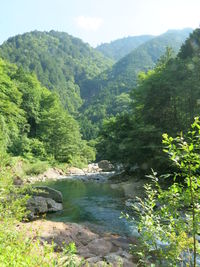 Scenic view of mountains