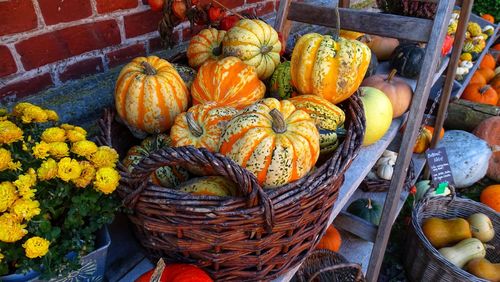 High angle view of pumpkins in market