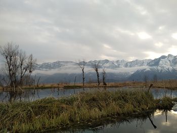 Scenic view of lake by landscape against sky