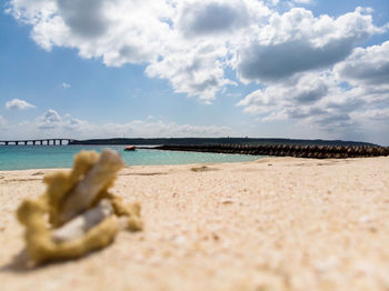 Surface level of beach against sky