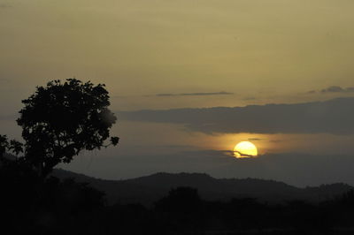 Silhouette tree against sky during sunset