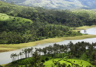 Scenic view of trees by lake