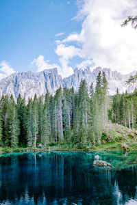 Scenic view of lake by trees against sky