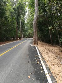 Empty road along trees