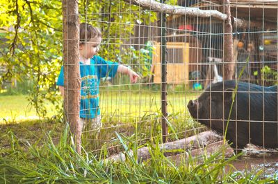 Boy standing in a farm