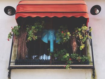 Potted plants by window of building